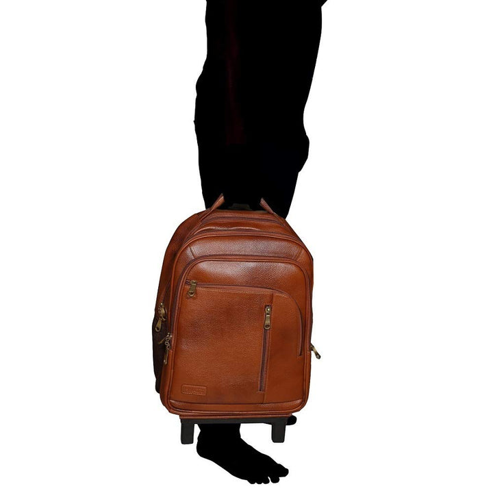 HAYAT Leather Accessories Leather 18 Inches Trolley Bag